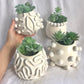 Monday Craft Nights - Succulent Holder - August 10th, 2026 - 6:00-8:00pm