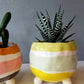Monday Craft Nights - Succulent Holder - August 10th, 2026 - 6:00-8:00pm