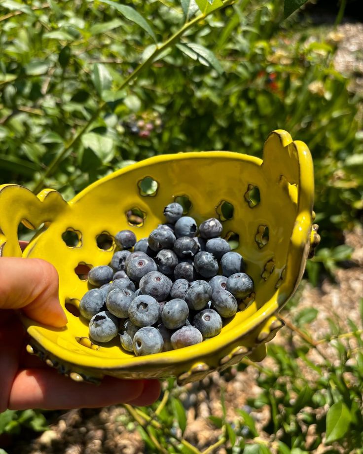 Sunday Crafternoon - Berry Bowls - July,20.2025 - 3:00-5:00pm