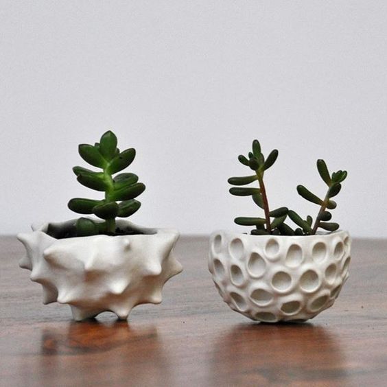 Monday Craft Nights - Succulent Holder - August 10th, 2026 - 6:00-8:00pm