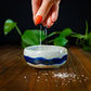 Photographing Pottery-Sunday August 16,  2026 - 11am - 1pm