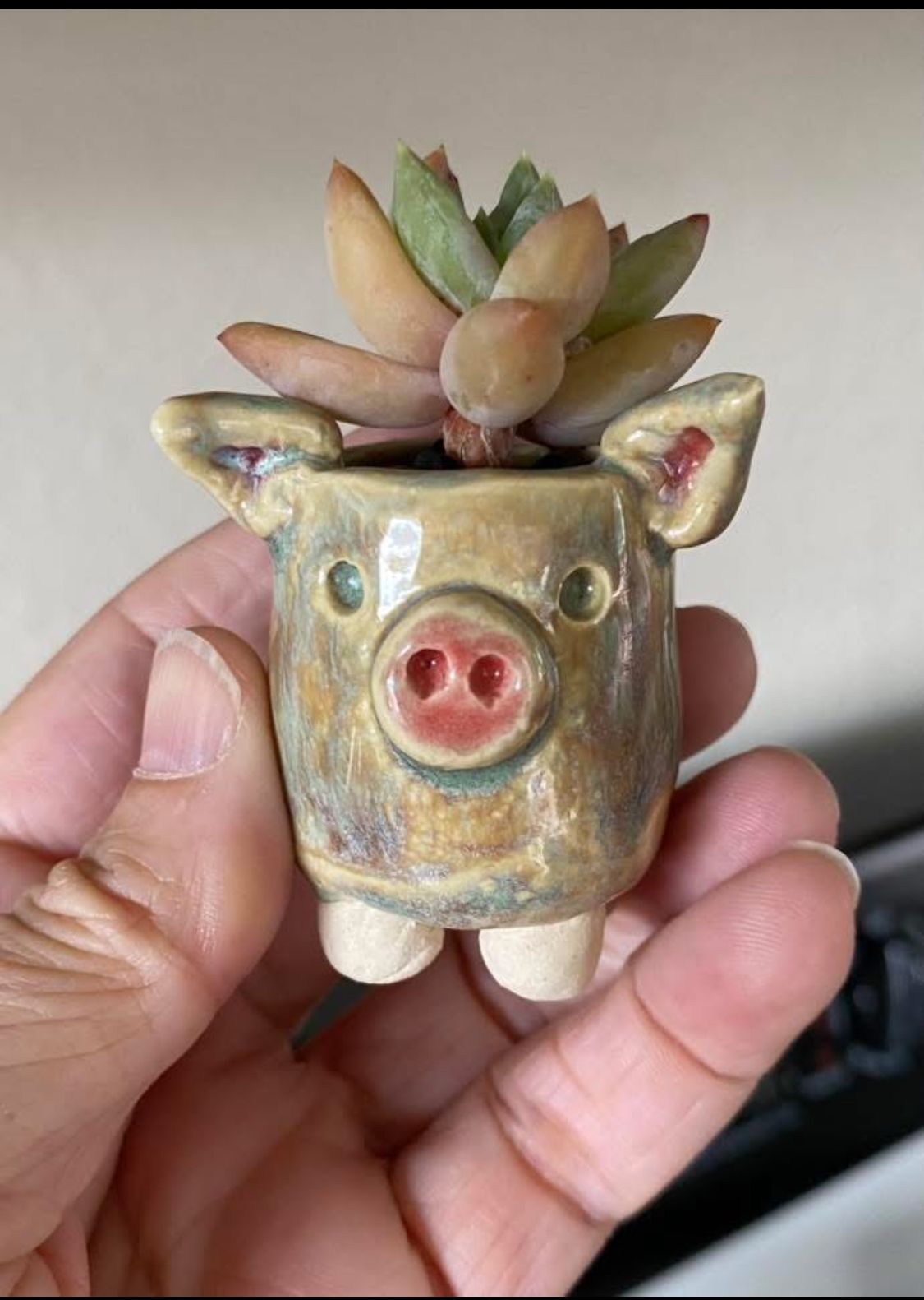 Monday Craft Nights - Succulent Holder - August 10th, 2026 - 6:00-8:00pm